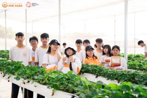 Trải nghiệm vườn dâu - Phu Xuan School (1)