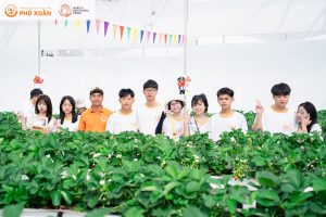 Trải nghiệm vườn dâu - Phu Xuan School (1)