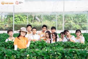 Trải nghiệm vườn dâu - Phu Xuan School